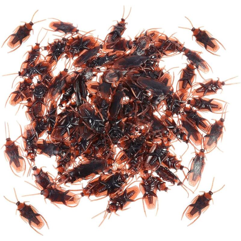 insectes en plastique