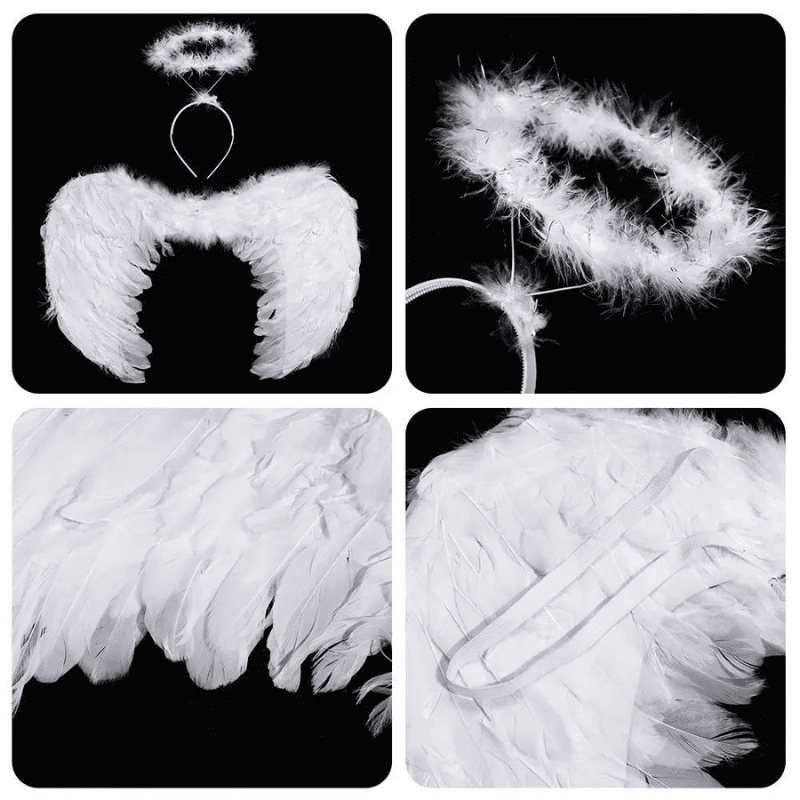 aile d'ange costume