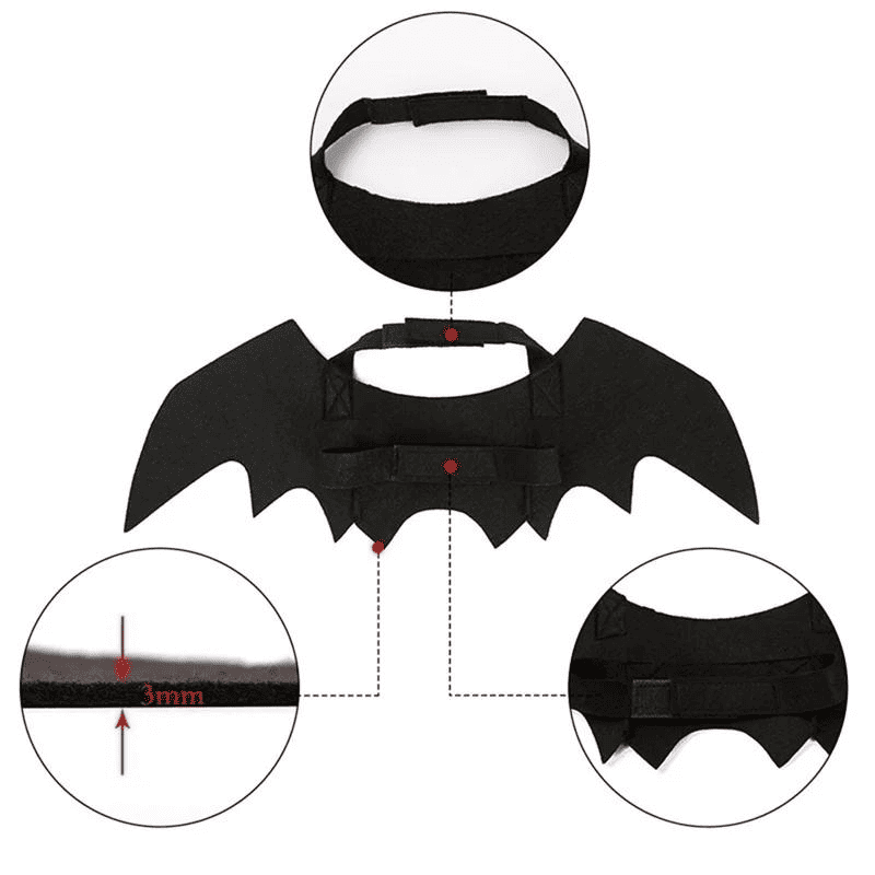 costume halloween chat
