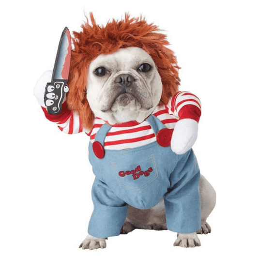 déguisement chien chucky