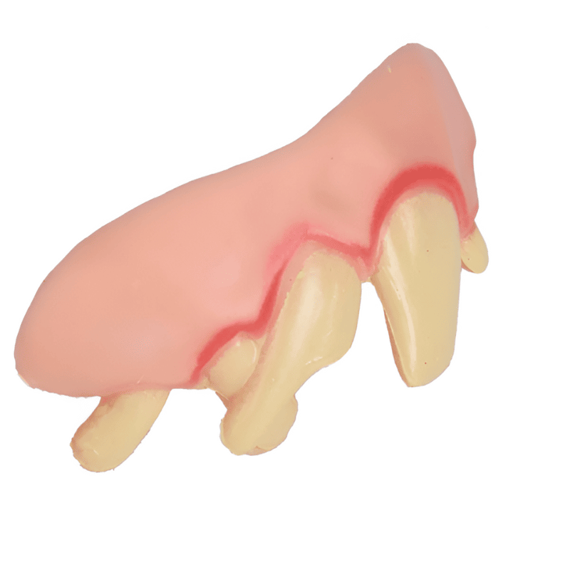 fausse dent monstre halloween