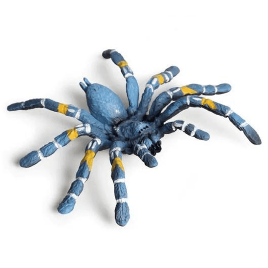 fausse mygale bleu