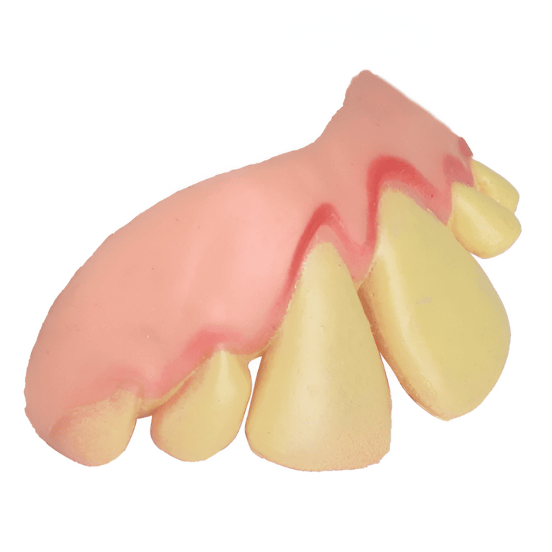 fausses dents jaunes halloween