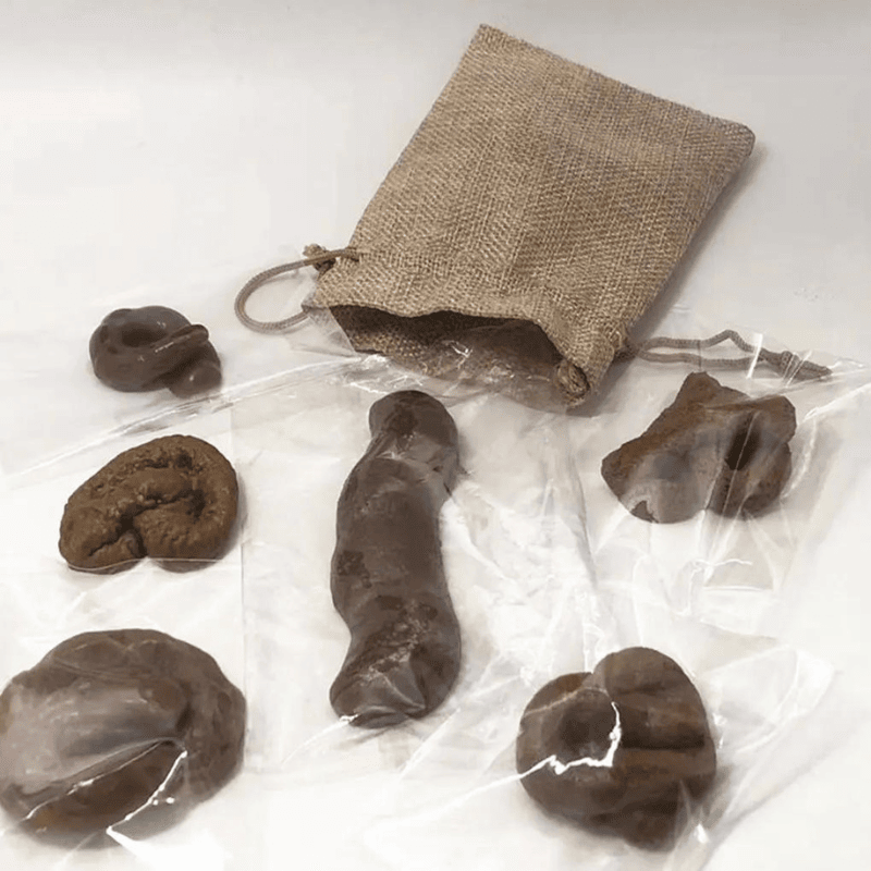 faux caca plastique
