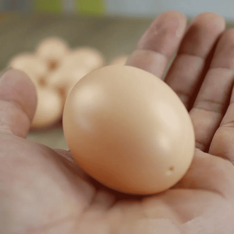 faux œuf de poule