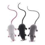 Fake rat  - Vignette | Farce &amp; Attrape