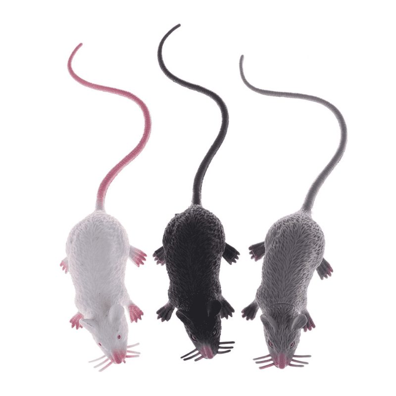 faux rat en plastique