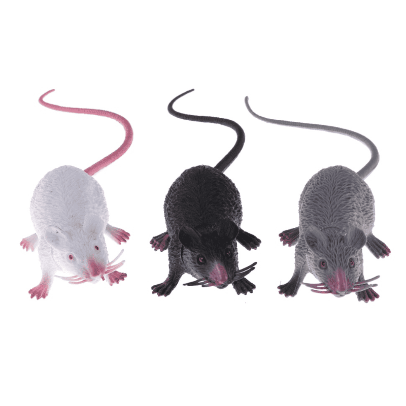 faux rat