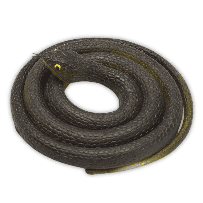 faux serpent blague