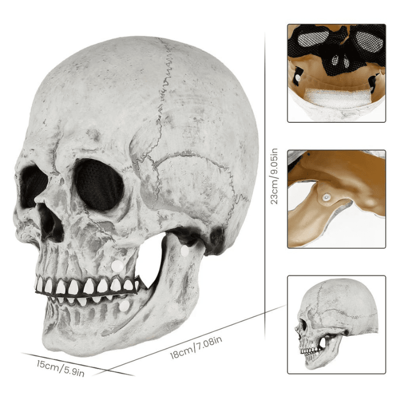 masque de tête de mort