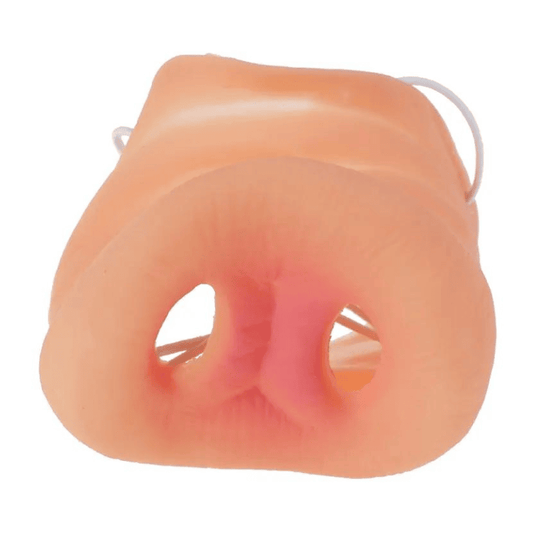 nez de cochon