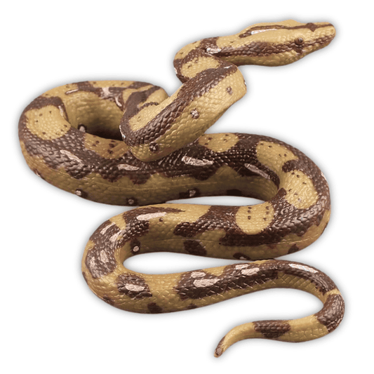 python en plastique