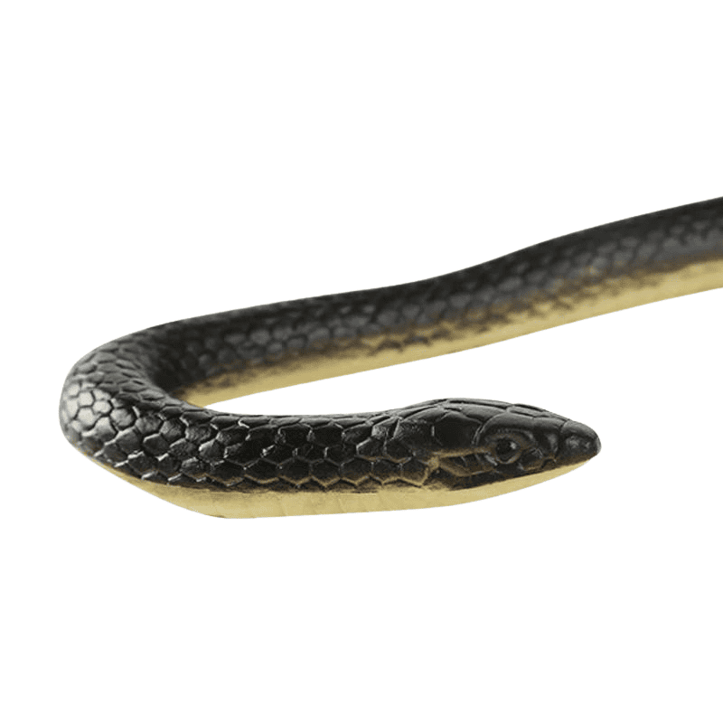serpent en caoutchouc couleuvre