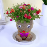 Tête à Pousser (Version Gazon ou Fleurs) | Le Pot de Plante Le Plus Fun du Bureau ! - Vignette | Farce &amp; Attrape