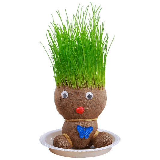 tête à pousser